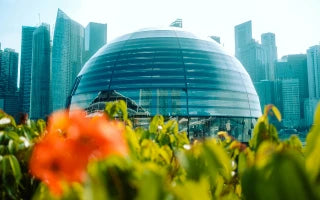 15 Recommendation Flowers for Occasions in Singapore