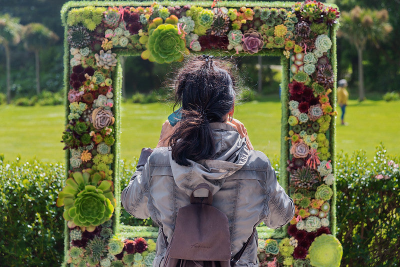 Learn To Make Lovely Flower Frame With FlowerAdvisor