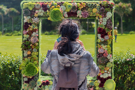 Learn To Make Lovely Flower Frame With FlowerAdvisor