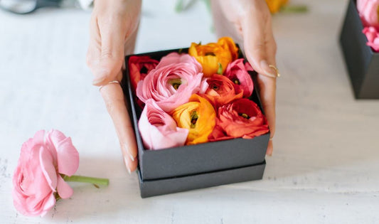 What you might not know about Bloom Box!