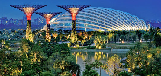 Inside Singapore’s Flower Dome