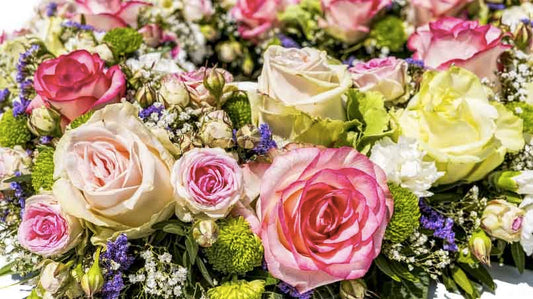3 Most Romantic Roses to Tell Her “I Love You”