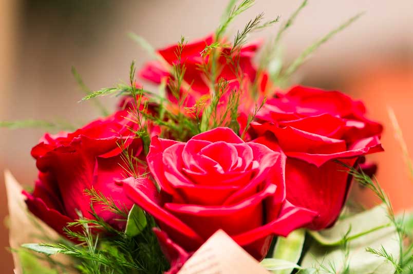 5 Top Most Popular Flowers for Your Bouquet and Where to Get Them