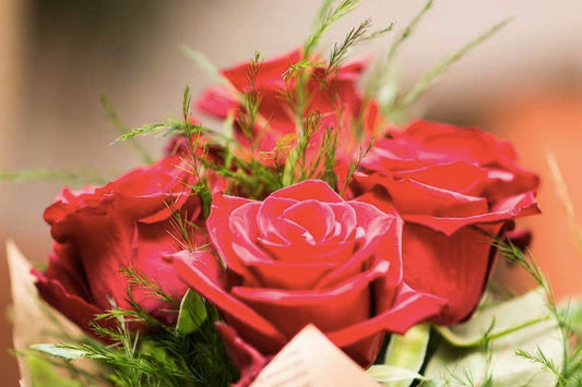 5 Top Most Popular Flowers for Your Bouquet and Where to Get Them