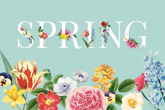 Top 11 Popular Spring Flowers and Their Plantation