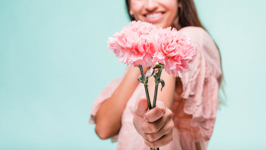 Facts and How to Buy Carnation Flower Online Singapore