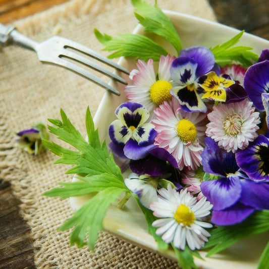Edible Flowers