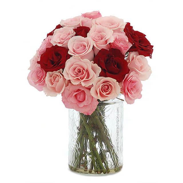 Two dozen red and pink roses in a glass vase for fresh flower delivery