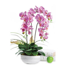Pink orchid flower arrangement in white pot, ideal for flower delivery in Singapore