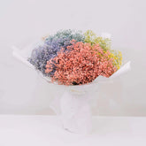 Colorful baby's breath bouquet wrapped in white paper for flower delivery in Singapore