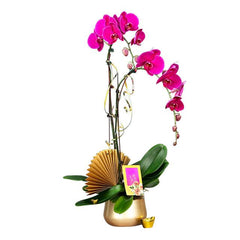 Elegant pink orchid flower arrangement in a gold pot for Singapore flower delivery