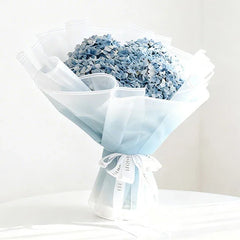 Hydrangea Ocean Serenade