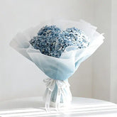 Hydrangea Ocean Serenade