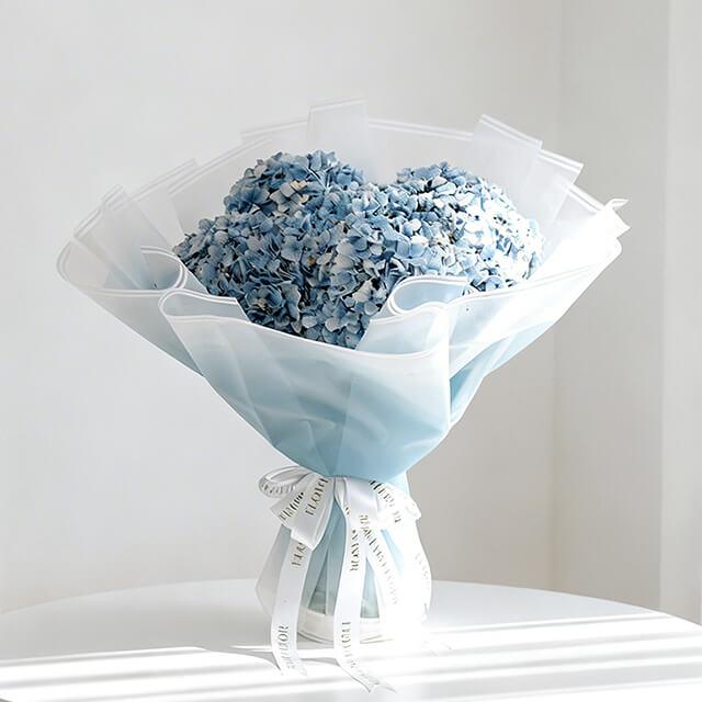 Hydrangea Ocean Serenade