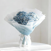 Hydrangea Ocean Serenade