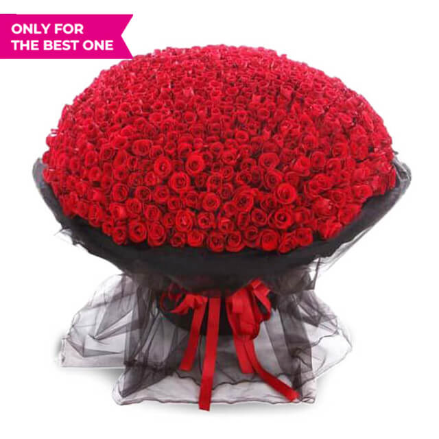 Every Day with You - VDAY