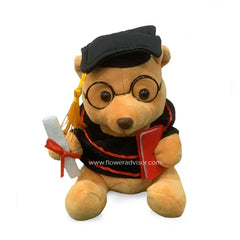 Graduation teddy bear gift holding diploma, ideal for flower delivery in Singapore