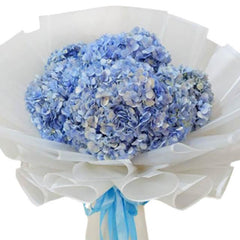 Elegant blue hydrangea bouquet with white wrapping, perfect for flower delivery in Singapore