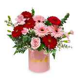 Enchanting Gerbera Bloom Box - Joyous Shades