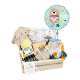 Baby gift hamper with plush toys, organic oils, balloon and newborn essentials for flower delivery