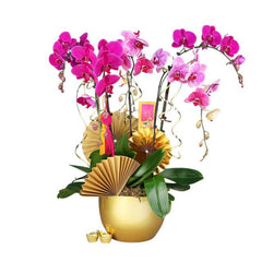 Pink orchid flower arrangement with gold fan decor in a gold pot for delivery