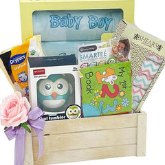 Baby boy gift hamper with books, toys, diapers, and a pink flower for flower delivery