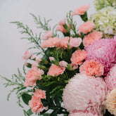 Mariposa Majesty Flowers