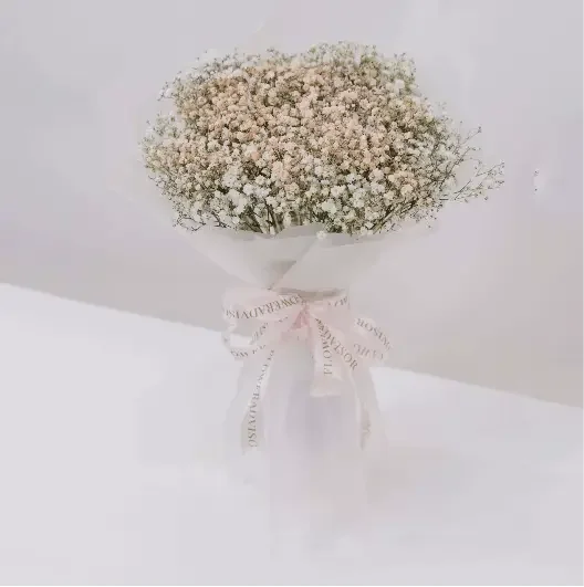 Whimsy Baby Breath