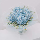 Bouquet of blue hydrangeas with white fillers for fresh flower delivery