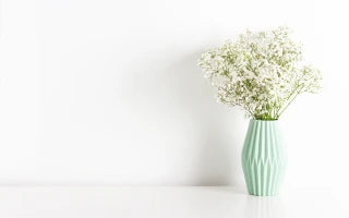 The Enchanting Meaning Behind Baby’s Breath Flowers