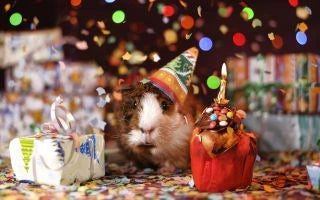Should I Give a Birthday Gift? Here's What You Need to Know!