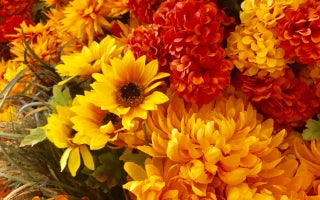 Artificial Flowers Vs Real Flowers: Which One is Better?