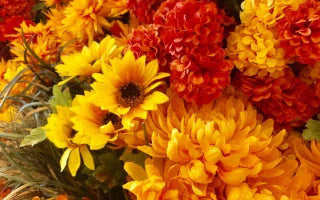 Artificial Flowers Vs Real Flowers: Which One is Better?
