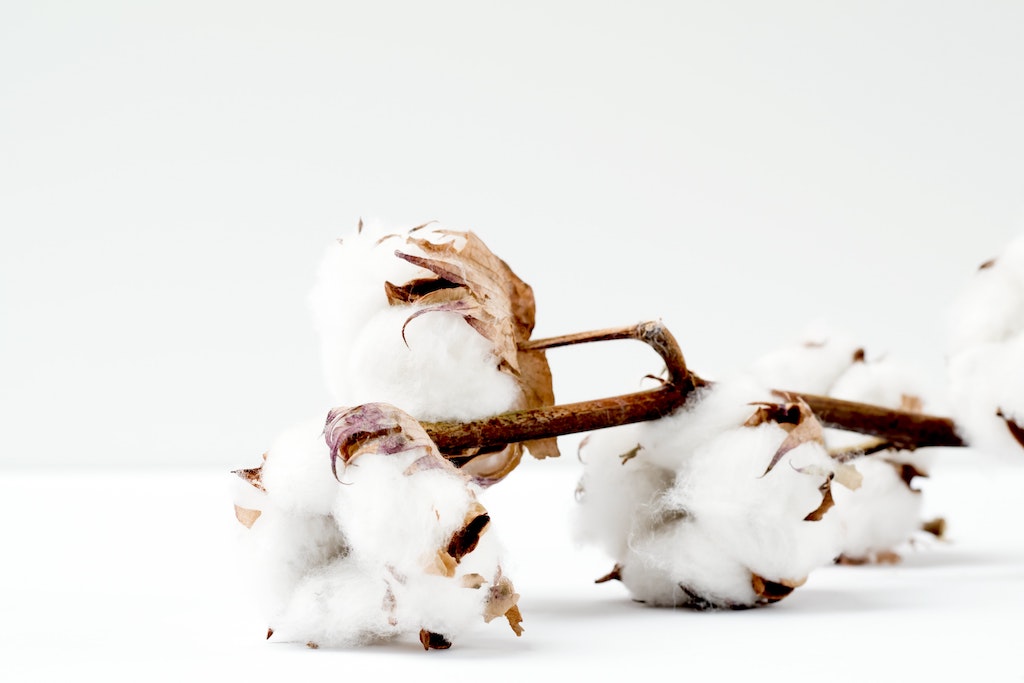 Lovely Cotton Flower Bouquets