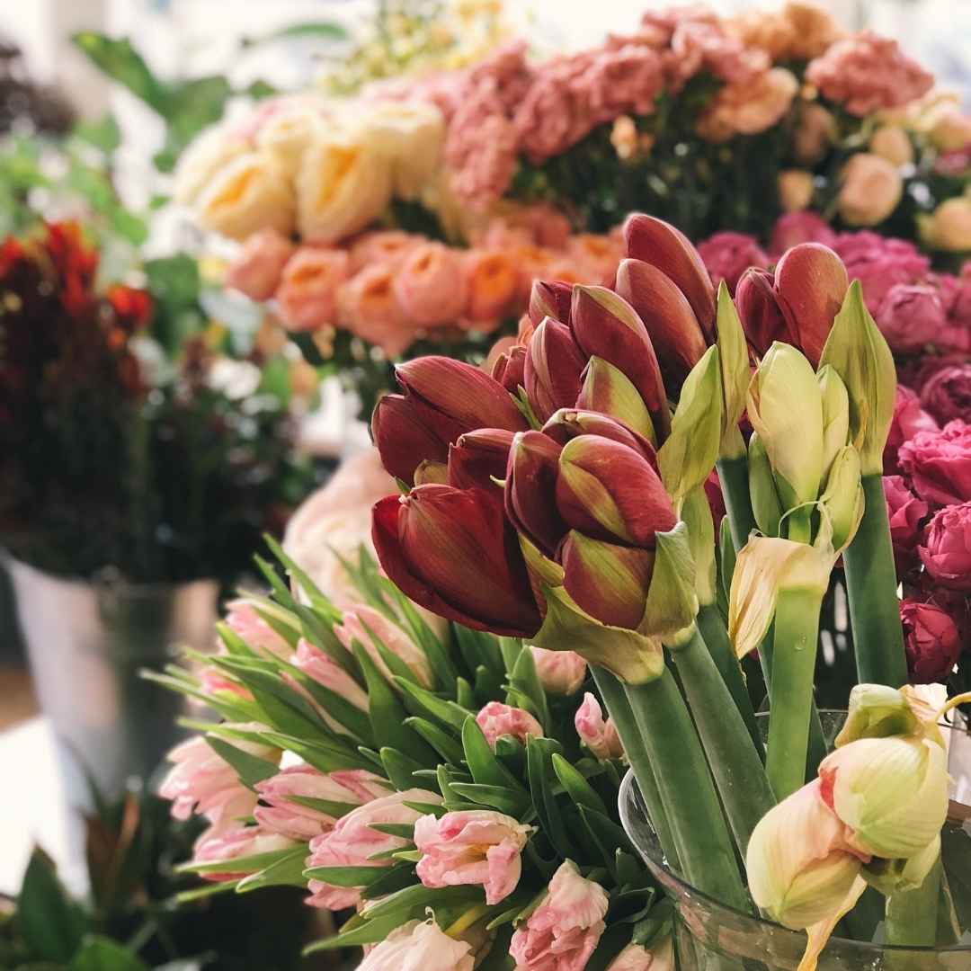 Flower Delivery in Singapore You Can Count On to Surprise Them!