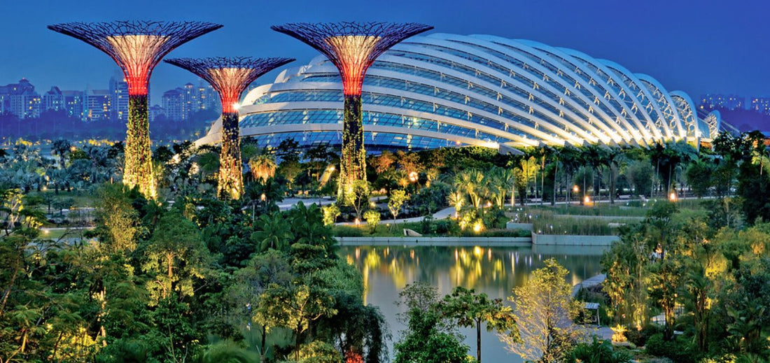 Inside Singapore’s Flower Dome
