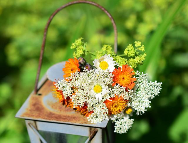 Long-Lasting Cold Storage Flowers