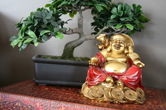 Attracting Fortune With The Feng Shui Plants