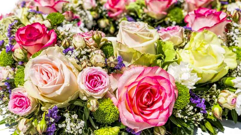 3 Most Romantic Roses to Tell Her “I Love You”