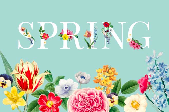 Top 11 Popular Spring Flowers and Their Plantation