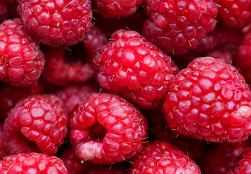 Want To Gift Your Loved Ones On Special Day? - Mulberries