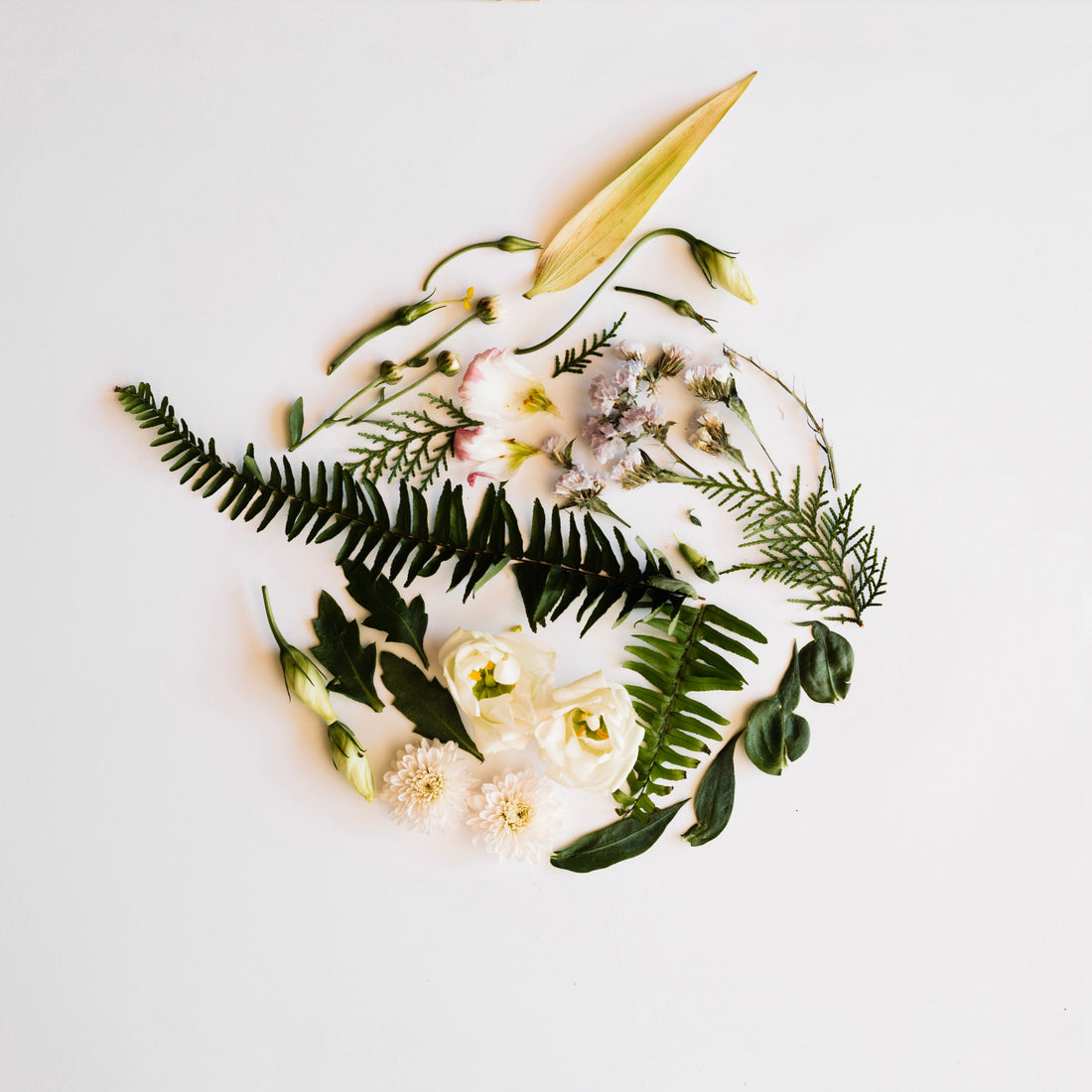 Preserved Flowers Singapore: Lasting Floral Gifts and Care Tips