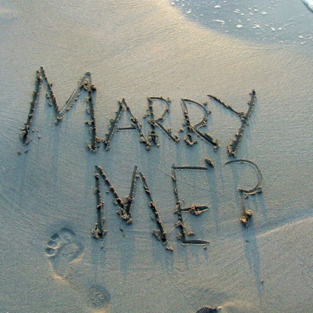 Flowers, Proposals and Everything Nice