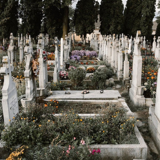 Choosing the Right Funeral Flowers to Express Your Deepest Condolences