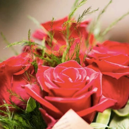 5 Flower Choices for a Beautiful Bouquet