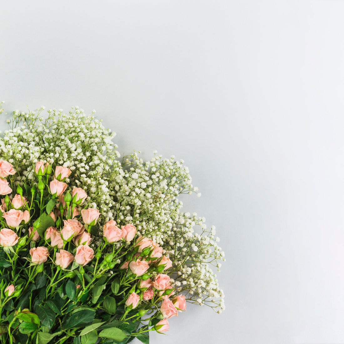 Baby’s Breath Bouquet Singapore: Meaning, Gift Ideas, and Beautiful Ways to Send It