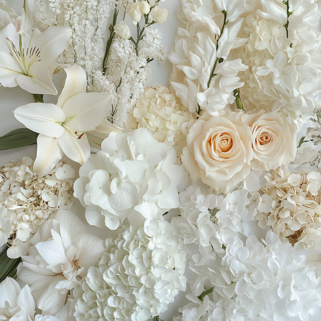Recommended Gifts Flower Singapore in Beautiful White Color