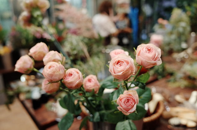 Not sure what flowers to choose for a gift? Find the Best Here!