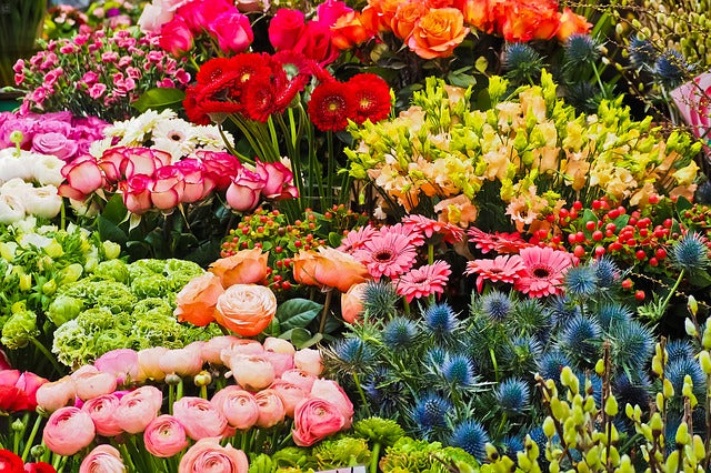 6 Ways to Choose Fresh Cut Flowers Singapore