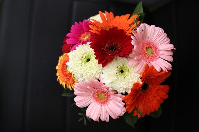Daisies Bouquet For Wedding - Flower Advisor